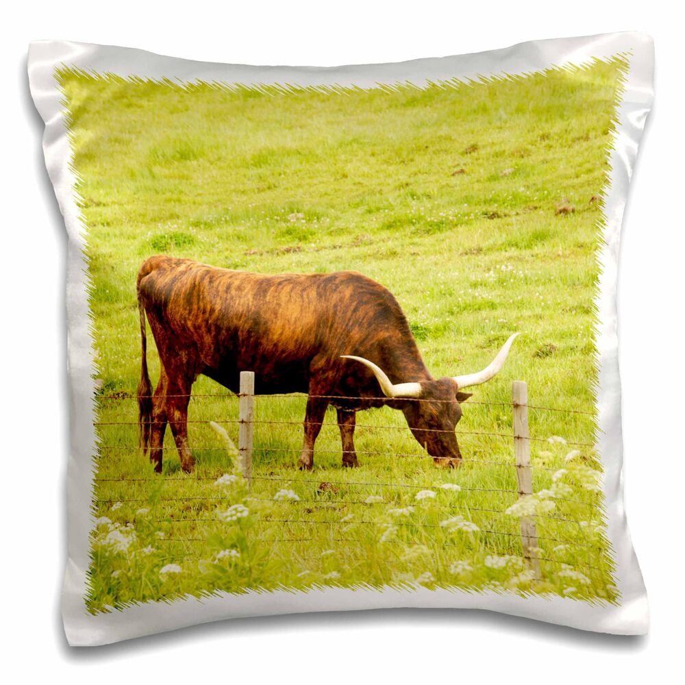 7774 3D Rose Longhorn Cow Grazing in Green Pasture-Us44 Pwo0005-Piper Anne